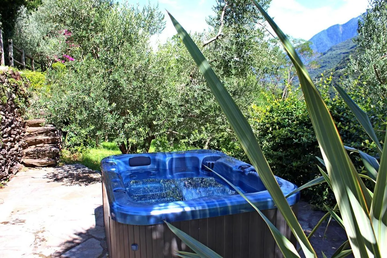 Holiday home Rustico Ulivi - Ferienhaus In Colico Bucht Piona Italy