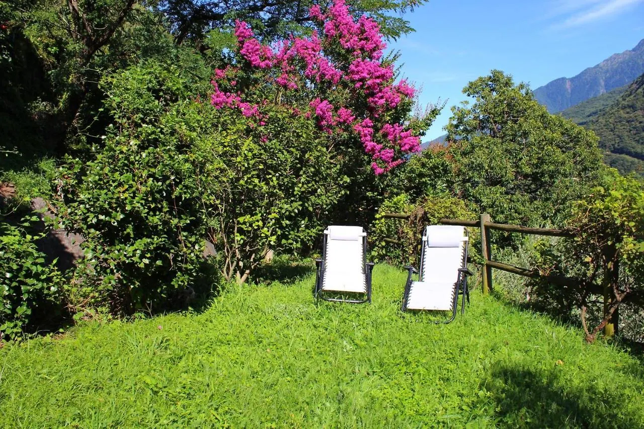 Rustico Ulivi - Ferienhaus In Colico Bucht Piona Holiday home